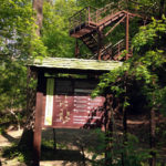 Фонд Феникс