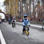 Фонд по поддержке спорта в Свердловской области А.В. Шипулина