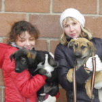 Фонд помощи бездомным животным имени Сарии Ашировой