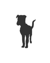 Некоммерческая организация «Фонд помощи бездомным животным имени Сарии Ашировой»