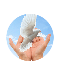 Благотворительный фонд помощи больным детям «Помогите детям»