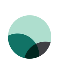 Международный благотворительный фонд помощи детям «Всем Миром»