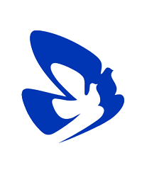 Фонд содействия развитию гражданского общества и правам человека «Женщины Дона»