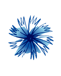 Благотворительный фонд помощи людям с боковым амиотрофическим склерозом и другими нейромышечными заболеваниями «Живи сейчас»