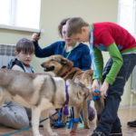 Благотворительный фонд реабилитации детей, перенесших тяжелые заболевания «Шередарь»