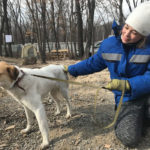 Фонд помощи бездомным животным «Умка»