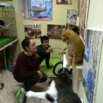 Фонд помощи бездомным животным «Умка»