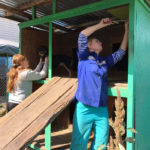 Фонд помощи бездомным животным «Умка»