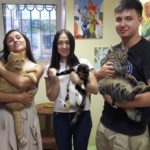 Фонд помощи бездомным животным «Умка»